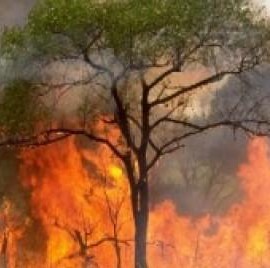 Continúan los allanamientos y la presión policial contra mapuches por incendios