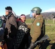 Expertos en temas indígenas llaman a poner fin a la violencia hacia el pueblo mapuche