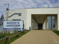 Piden que mapudungún sea idioma oficial de La Araucanía en Día Internacional de la Lengua Materna