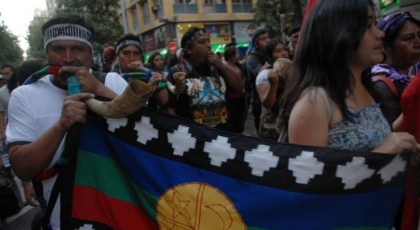 “La desigualdad de territorio entre el pueblo mapuche y las forestales es fuerte y distante”