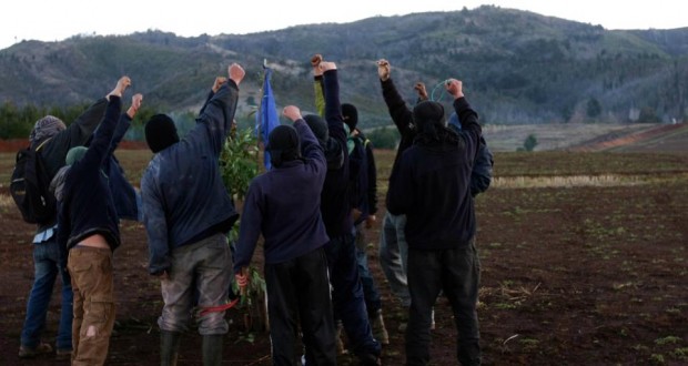 Quién es y cómo actuó Raúl Castro Antipán, el “terrorista mapuche” infiltrado por Carabineros