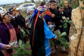 Comunidad indígena decepcionada con actual gobierno por “lento proceso de recuperación de tierras”