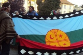 Comunidades mapuche de Cunco se toman dependencias de predio perteneciente a Forestal Mininco