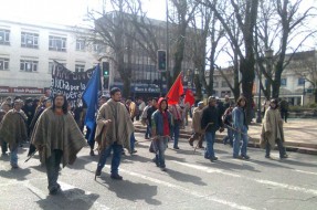 Más de 200 representantes de comunidades mapuche de Los Ríos marcharon en Valdivia