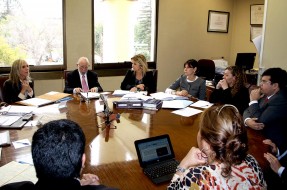 Conadi expone ante Senado cambios de Consulta Indígena impulsada por el Gobierno
