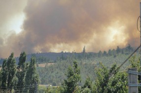 Incendios forestales dejan al menos 100 casas y 18.000 hectáreas destruidas en Bío-Bío