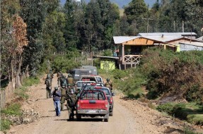 Fuerzas Especiales detiene a comunero durante allanamiento en comunidad mapuche de Ercilla