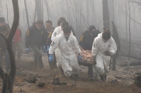 Diputados de la Comisión de Recursos Naturales que investiga incendios forestales visitan Carahue