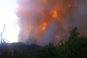 Balance de incendios forestales: Se han quemado 60 mil hectáreas durante el verano