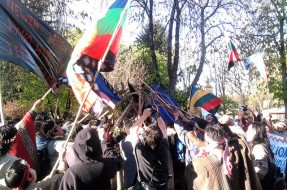 Mapuche acusan a diputado Chahín (DC) de atribuirse logros en beneficios de comunidades indígenas