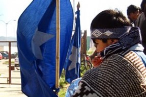 Mapuche aseguran tener apoyo de parlamentarios por derechos de agua en tierras indígenas