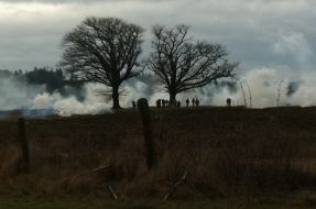 Al menos 12 detenidos tras desalojo de fundo La Romana ocupado por mapuche en Ercilla