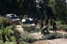 Mientras más ‘pacos’ haya en la zona, más rebeldía habrá en zona mapuche