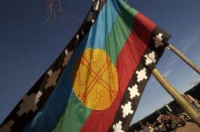 Comunidad mapuche de Los Sauces aplica innovador sistema agrícola a sus suelos
