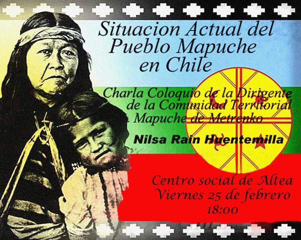 Realidad del pueblo mapuche