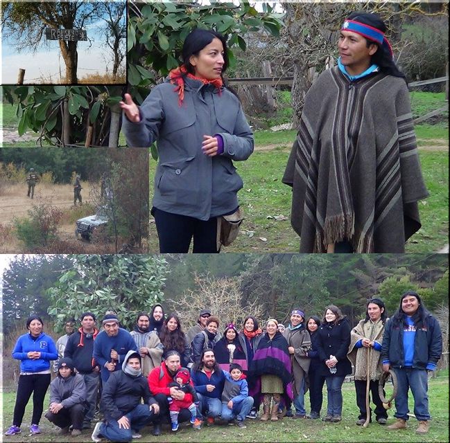 Carabineros reprime comunidades mapuche tras visita de grupo de artistas encabezado por Anita Tijoux