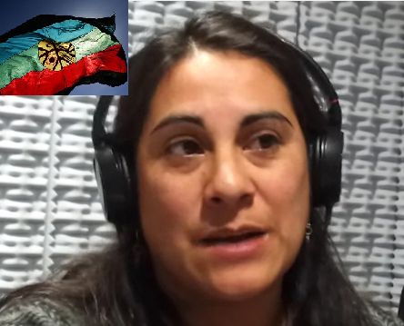 Relmu Ñamku: "Hace más de una década que venimos resistiendo al avance de distintas petroleras" 
