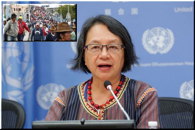 Relatora de la ONU llama a la calma y al diálogo en Ecuador
