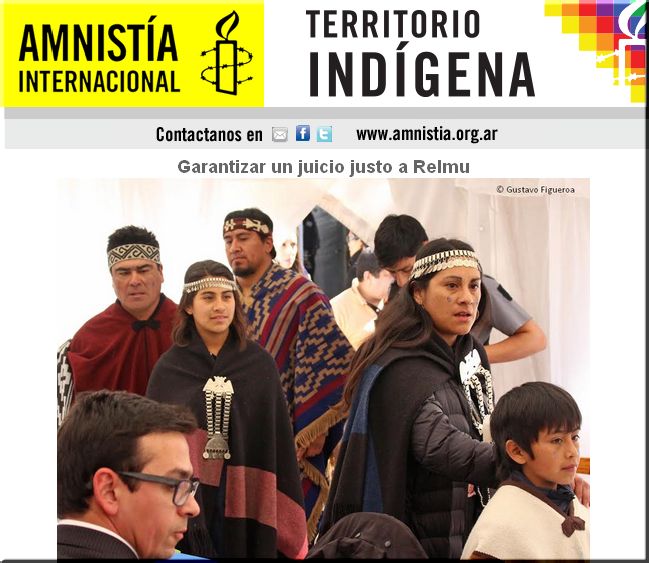 Amnistía Internacional : Garantizar un juicio justo a Relmu Ñamku