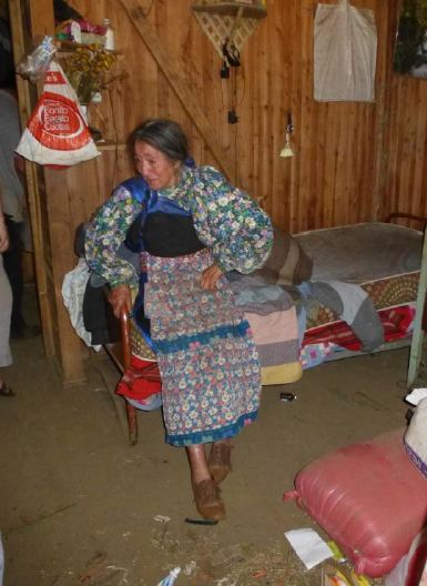 Profesionales de la Fundación Instituto Indígena de Temuco visita a familias