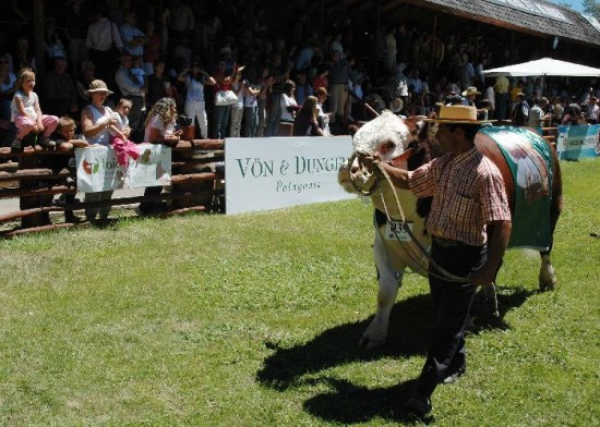 El conflicto con los mapuches 