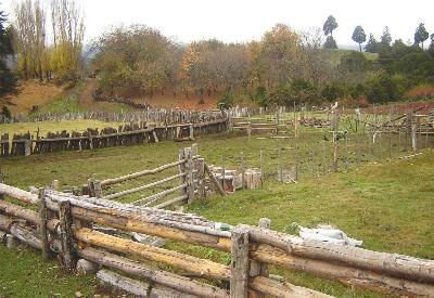 Reconocen a familia mapuche título comunitario 