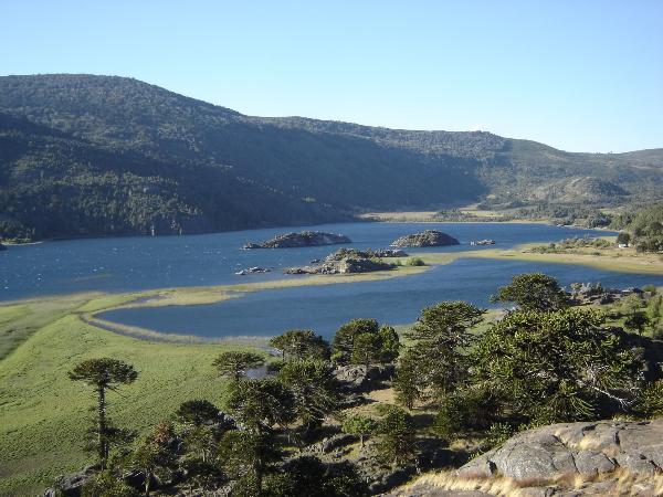 Clima de tensión por un embargo a comunidad mapuche