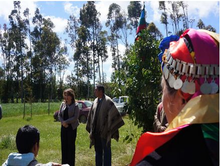 Gobernación de Malleco y Comunidad Indígena Pitriqueo, de la Comuna de Ercilla 