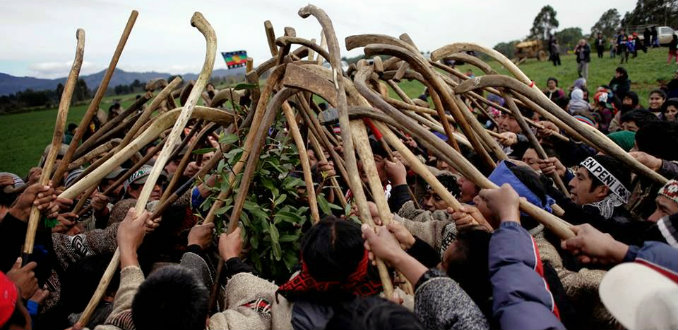 Activismo internacional mapuche