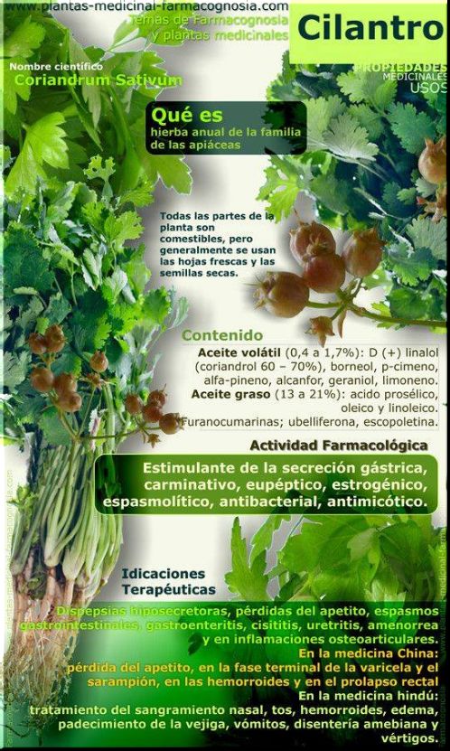 CHARLA Y DIALOGO SOBRE SALUD INTERCULTURAL EN LA RUKA