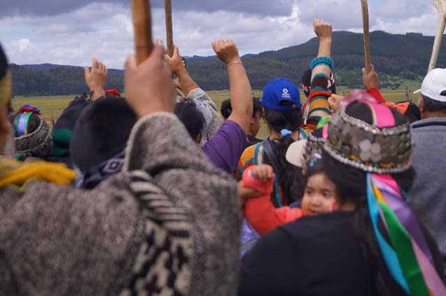 Seminario Mapuche sobre Cambio Climático