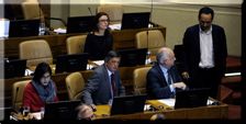 Efectos colusión: Bancada parlamentaria exige fin de subsidio estatal a empresas forestales