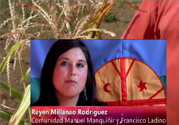 Estado de emergencia en la Araucanía: Falta de agua se intensifica por plantaciones de monocultivos 