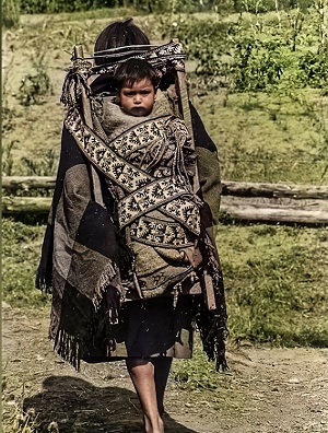 Xampurria. Identidad transterritorial y escritura mestiza mapuche-chileno-argentina