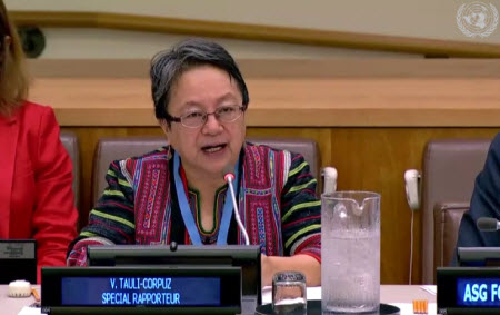 Victoria Tauli-Corpuz, Relatora Especial sobre los derechos de los pueblos indígenas