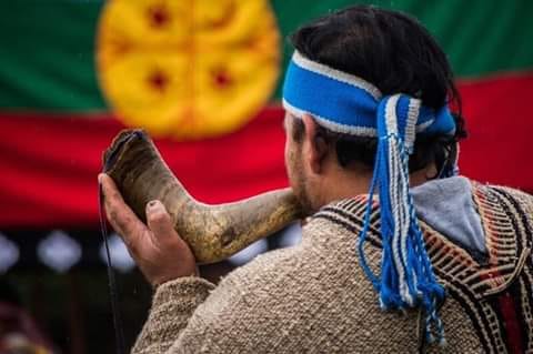 Movilización y marcha mapuche