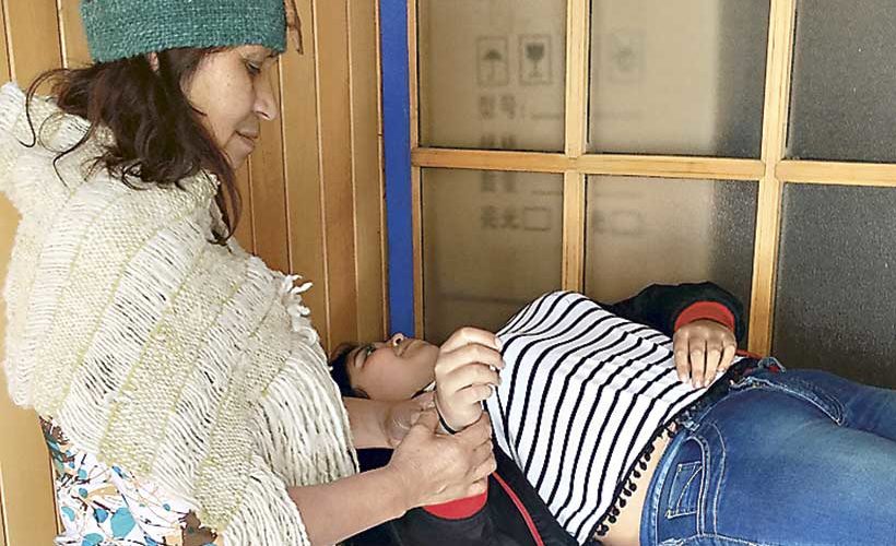 Medicina huilliche al alcance de todos