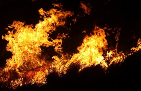 Mapuches, incendios y tonteras