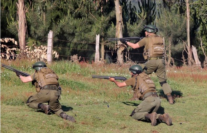 Programa de Derechos Indígenas: “es una lectura afiebrada” decir que hay guerrilla en la Araucanía