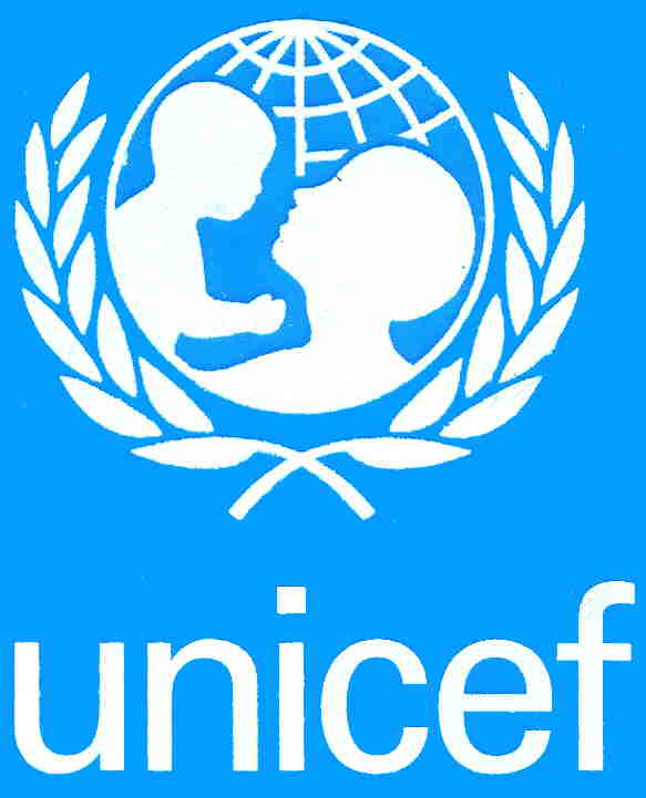 Unicef rechaza acusaciones de Carabineros sobre uso de niños mapuche como escudos humanos