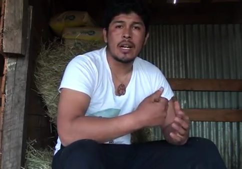 “La Alianza Territorial Mapuche va a presentar una demanda ante la Corte Interamericana de Derechos 
