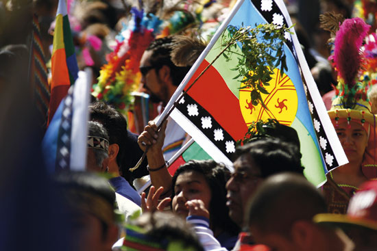 ¿Existe la solidaridad promapuche?
