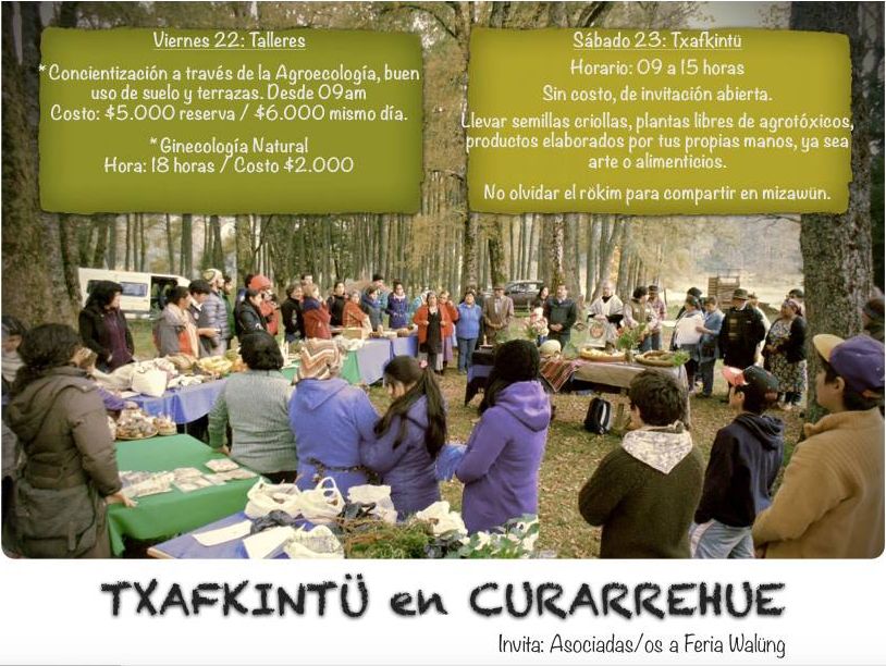 Trafkintu de plantas, semillas, productos y talleres sobre agroecología y ginecología natural.