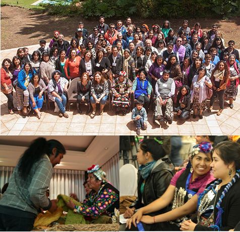 Artistas y cultores se reunieron encuentro Macrozonal de Pueblos Originarios