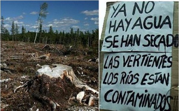 El conflicto de la industria forestal en Chile y territorio Mapuche