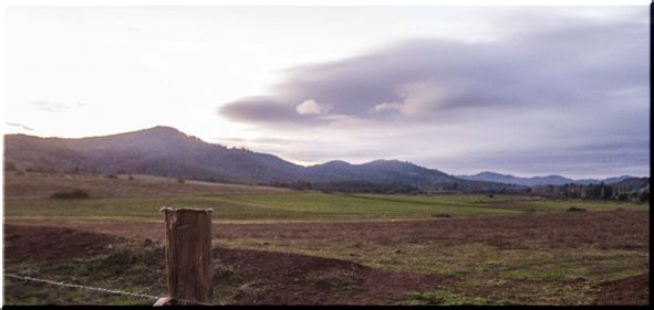Comunidad mapuche reclama predios pertenecientes a familia Luchsinger en La Araucanía