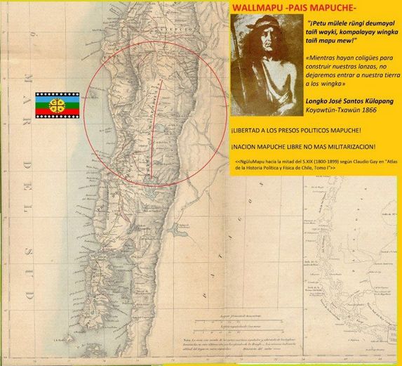 El proceso de formación del Estado Nacional Mapuche