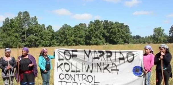 Comunidad Mapuche Lumaco Bajo