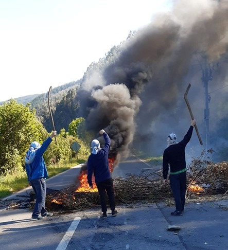 Comunidades Mapuche en resistencia de Malleco