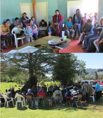 Territorios Mapuche Williche exigen respeto a sus derechos 